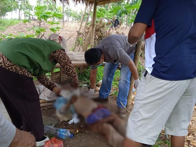pria tewas digigit ular, penemuan mayat, desa kubangkangkung, kawunganten, cilacap, berita terkini, berita hari ini