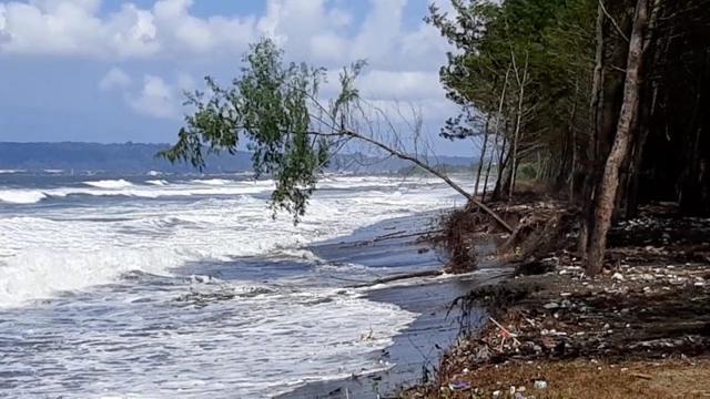 abrasi pantai kemiren, tanggul jebol, gelombang tinggi, berita terkini, berita hari ini, cilacap