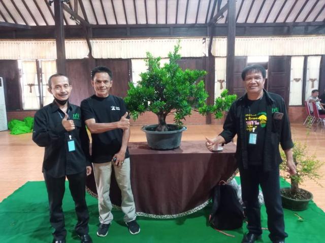 Purbalingga Lirik Potensi Tanaman Bonsai untuk Meningkatkan Perekonomian 
