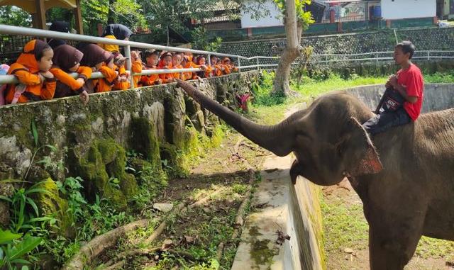 Serulingmas Zoo Banjarnegara