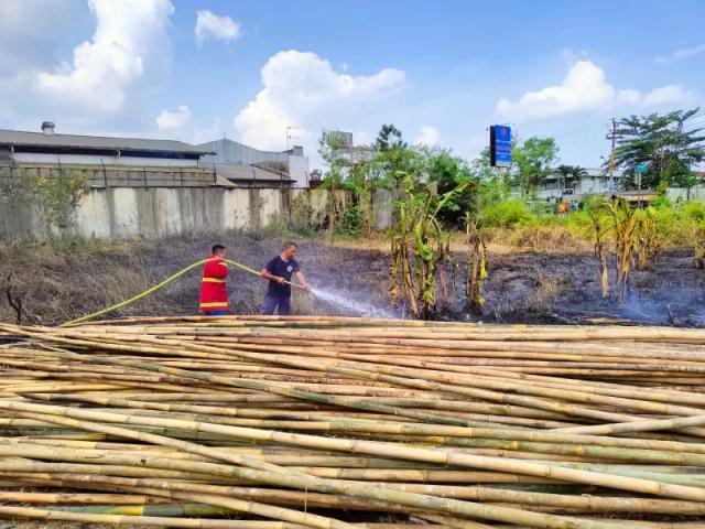 Kebakaran lahan