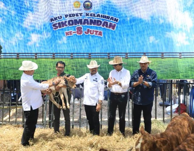 jateng lumbung ternak